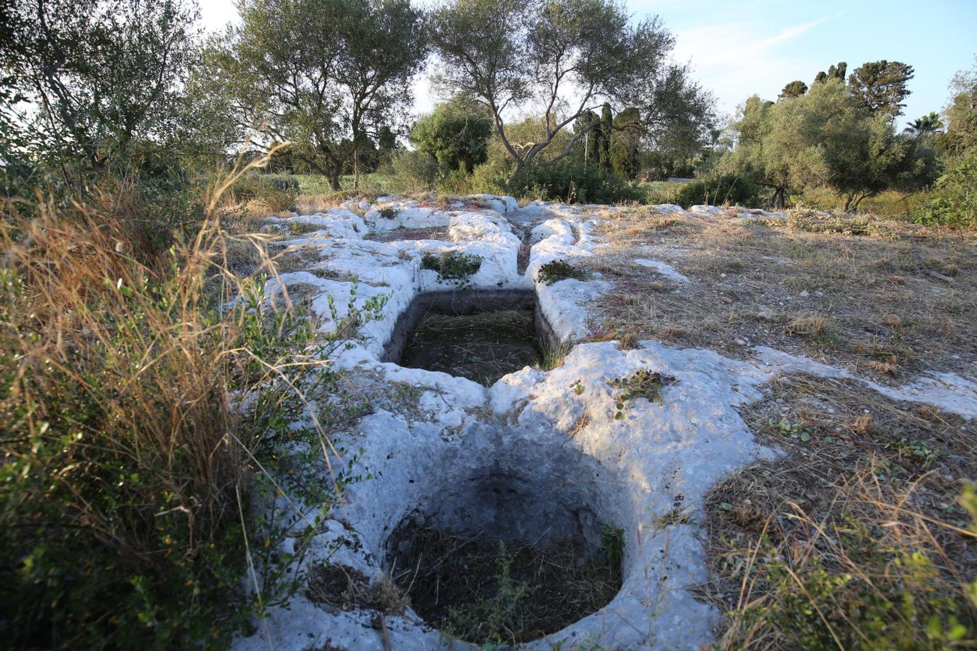 Dei Papiri Fonte Ciane Syracuse